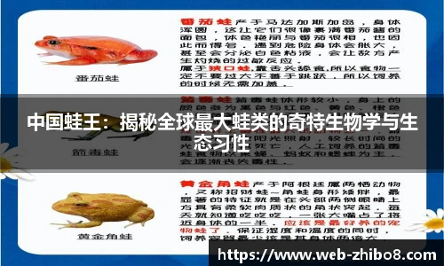 中国蛙王：揭秘全球最大蛙类的奇特生物学与生态习性