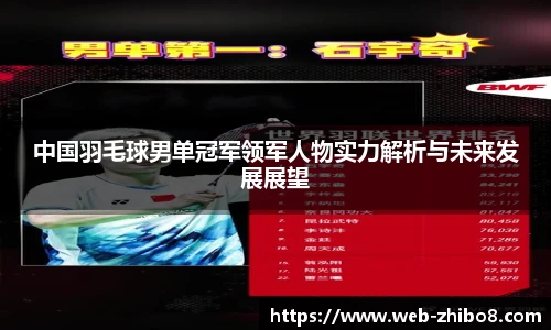 中国羽毛球男单冠军领军人物实力解析与未来发展展望