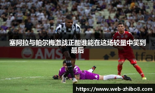 塞阿拉与帕尔梅激战正酣谁能在这场较量中笑到最后