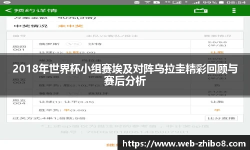 2018年世界杯小组赛埃及对阵乌拉圭精彩回顾与赛后分析